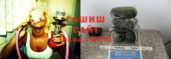 гидра Елабуга