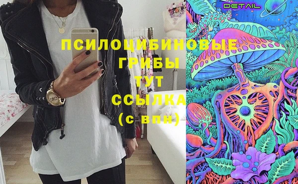 гидра Елабуга