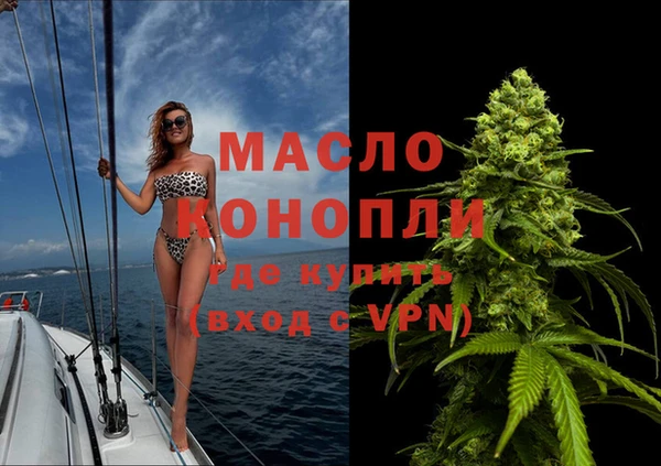 гидра Елабуга