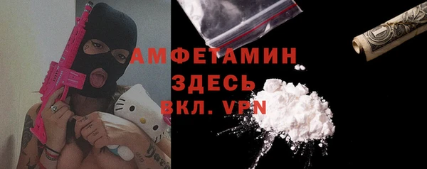 гидра Елабуга