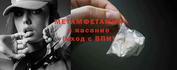 гидра Елабуга