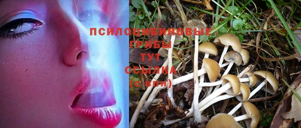 мескалин Елизово