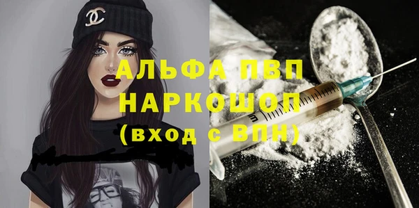 гидра Елабуга
